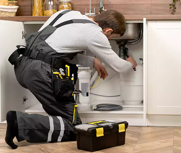 Certified Plumbers for Insinkerator Installation in Garland