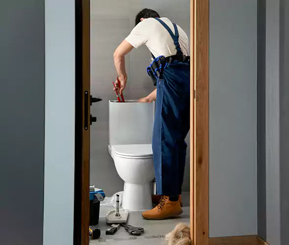 Professional Plumbers for Toilet Bowl Replacement in Garland, TX: Schedule Affordable Toilet Replacement Services With Us