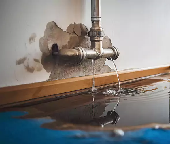 Professional Water Damage Restoration Experts in Garland, TX — Fast, Reliable & Certified