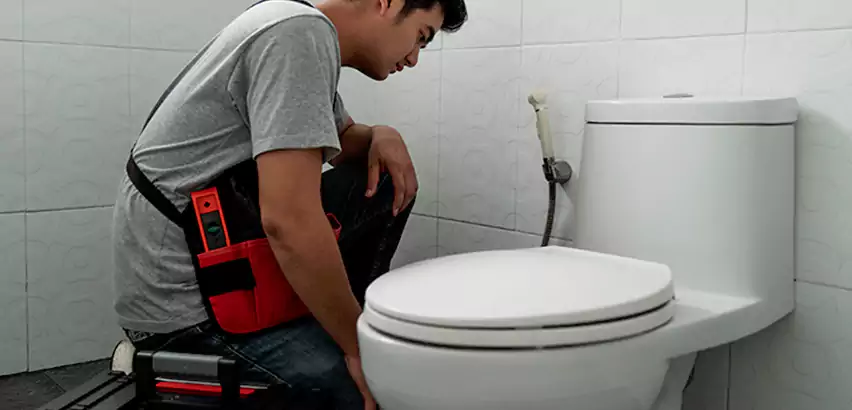 Toilet Repair in Garland
