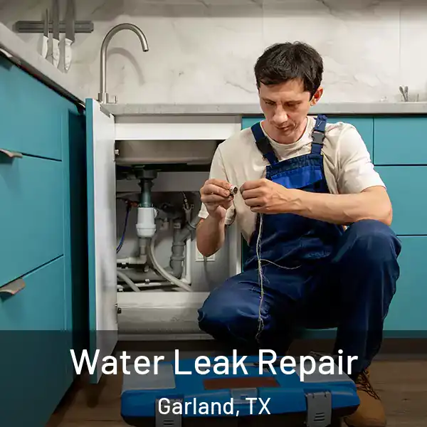  Water Leak Repair Garland, TX